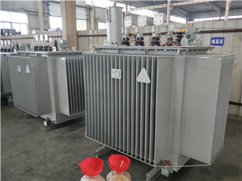丽水S11-2500/10油浸式变压器