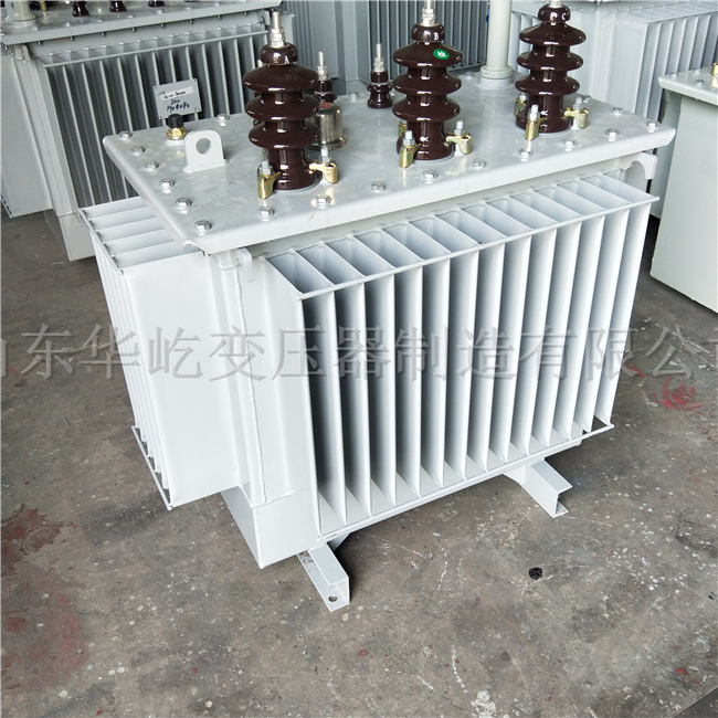 丽水S20-1000KVA油浸式电力变压器